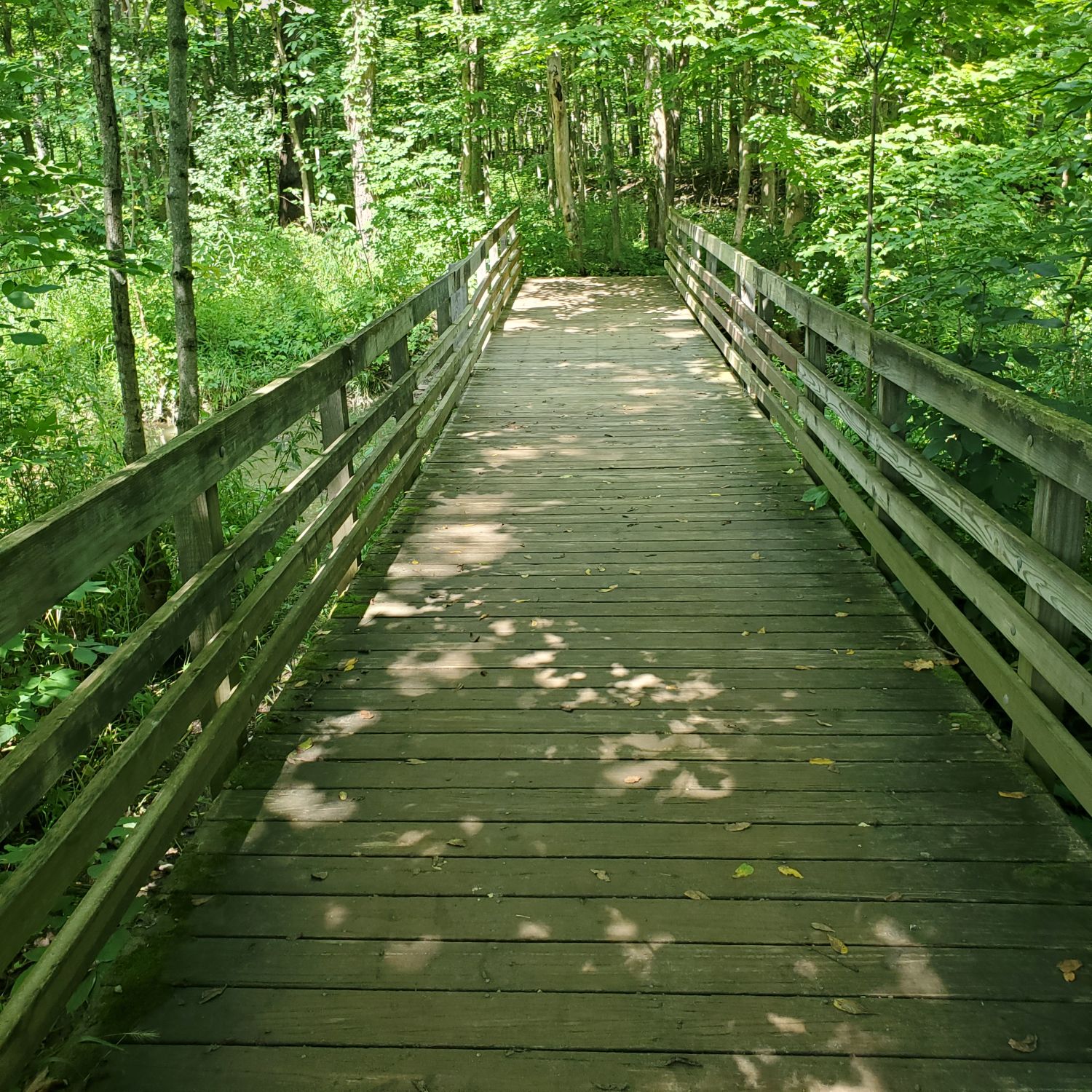 Stanford and Brandywine Gorge Trails 